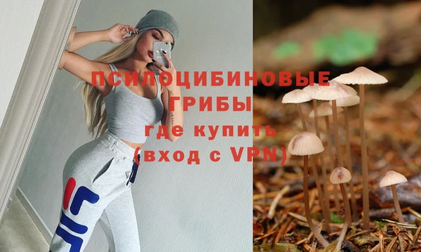 дурь Армянск