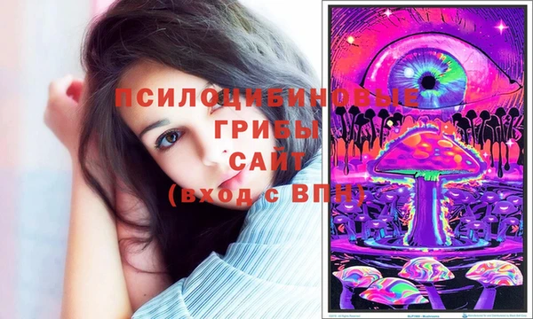 прущая мука Арсеньев